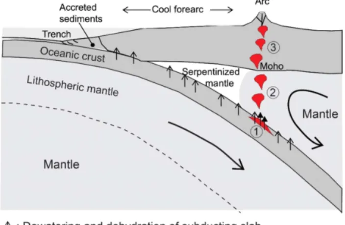 Fig. 1. Schematic cross section of subduction zone. Subducting slab consisting of oceanic crust and lithospheric mantle results in corner flow of the mantle wedge through viscous coupling between the subducting slab and mantle wedge