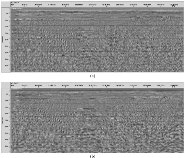 Fig. 15. Results of (a) final stack and (b) fast FD (finite difference) migration using ProMAX (SeisSpace R5000).