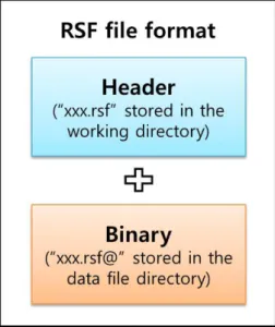 Fig. 1. Schematic illustration of RSF file format.