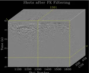 Fig. 7. A multidimensional view of shot gathers after F-K filtering using Madagascar.