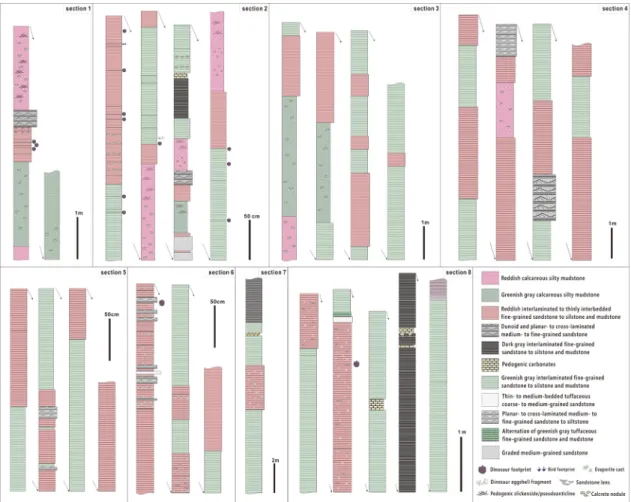 Fig. 9. Stratigraphic sections of the Haman Formation in study area. Section 1 to 8 is in stratigraphically ascending order