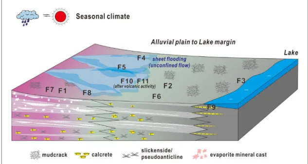 Fig. 11. Summarized diagram showing paleoenvironments of the Haman Formation in study area