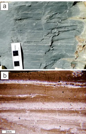 Fig. 5. Occurrences of dark gray interlaminated fine-  grained sandstone to siltstone and mudstone