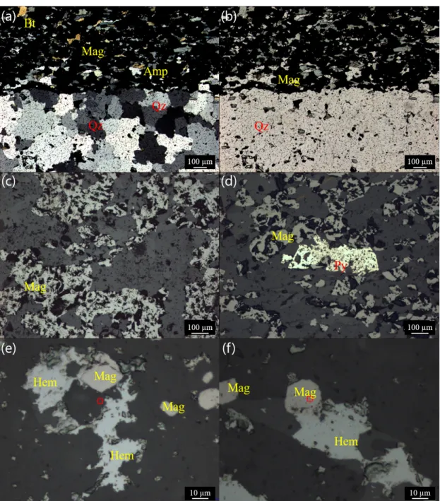 Fig. 2. Yuanjiacun BIF consisting of alternating Fe-rich layer and Si-rich layer (a) under cross polarized light and  (b) open polarized light