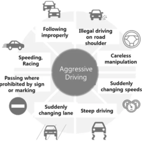 Figure 1.  Aggressive driving types