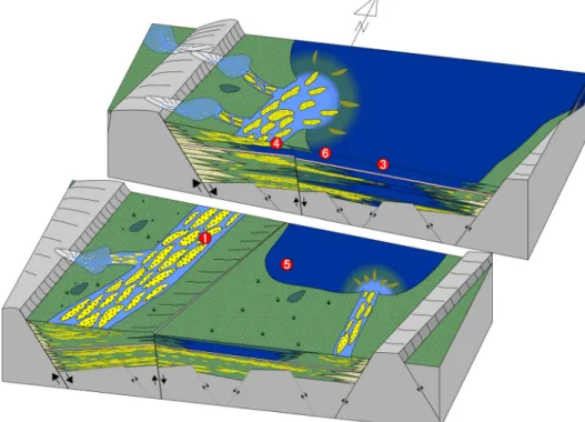 Fig. 8. Schematic depositional model of Unit S-2. In the western part of the basin (JG-1, -4), thick fluvial sediments  were deposited probably related to the activation of a normal fault in western margin of the basin