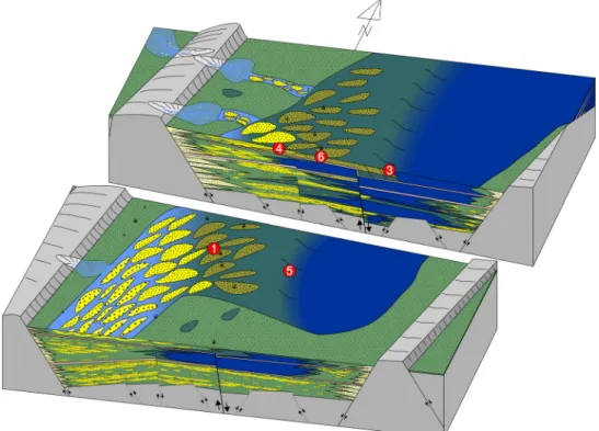 Fig. 10. Schematic depositional model of Unit S-3. Gradual decrease in accommodation space and high rate of sedi- sedi-ment supply related to the volcanic eruption resulted in progradation of resedisedi-mented tuffaceous sedisedi-ments into  a lake environ