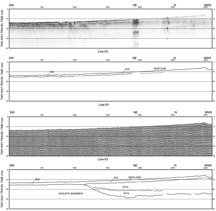 Fig. 2. High resolution seismic profiles (chirp and sparker) and interpretation of Line-03