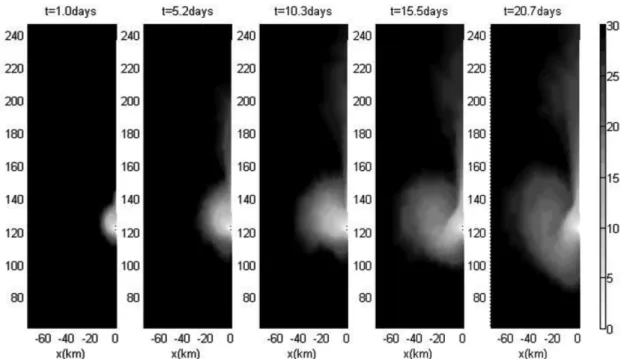Fig. 5. Velocity distribution at each depth. The longest arrow shows the around 0.78 m/sec