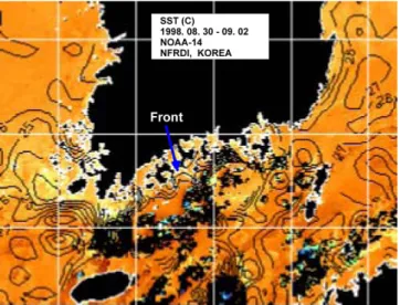 Fig. 3. NOAA composite image during C. polykrikoides blooms on Aug. 30~Sept. 2, 1998.