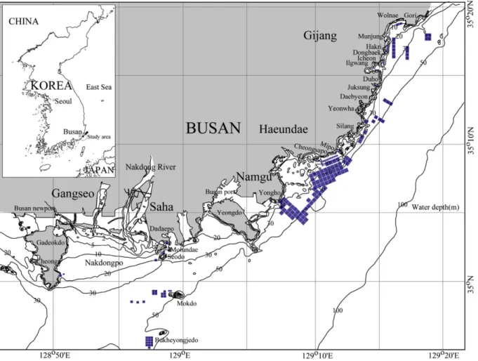 Fig. 1. Spatial distribution of artificial reefs deployed in the Busan sea region. After the first project in 1987, artificial reefs were deployed mainly in the Heaundae sea region.