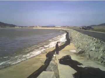 Fig. 5. Net setting protecting coastlines.