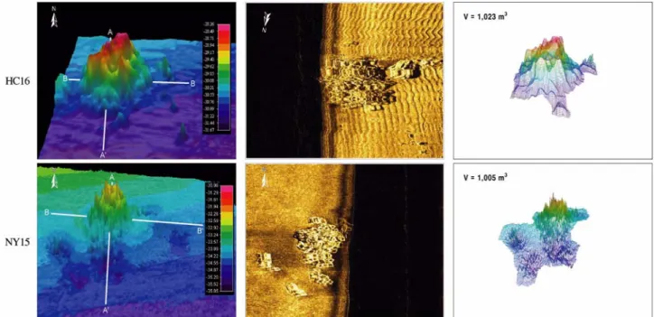 Fig. 3. Sonar image of artificial reefs (left: Multi Beam Echo Sounder, Center: Side Scan Sonar, right: resulting images and estimated volume of artificial reefs).