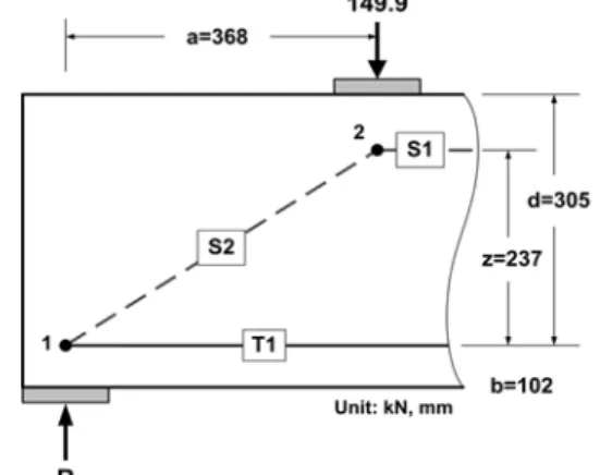 Fig. 7. Provided Cross-sectional Widths of Struts and Nodal Zone Boundaries in Statically Determinate Strut-Tie Model of Beam 2B4-52 