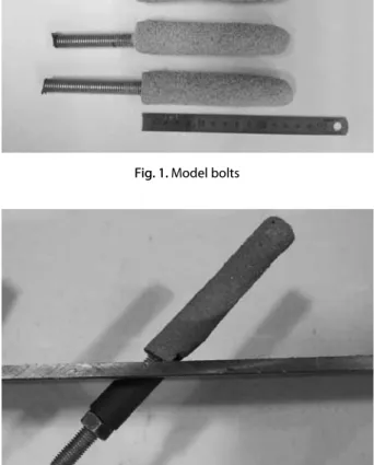 Fig. 2. Model bolts installation