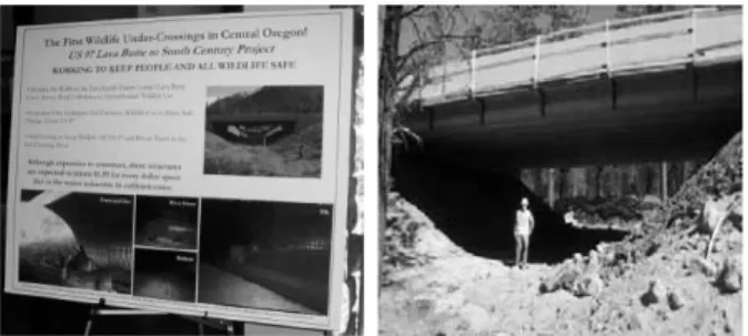 Fig. 5. Example of I-Last Construction: US I- 55ѥArsenal Road Fig. 6. Example of GreenLITES Construction: N.Y.S ROUTE 17 at Exit 122, Town of Wallkill
