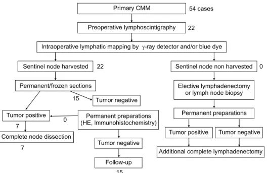 Fig. 3. The algorithm of the pro- pro-cedure and the result of SLNB in 22 melanoma patients at our hospital.