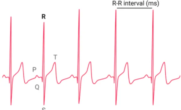 Fig. 1  Schematic diagram of electrocardiogram during heartbeat 