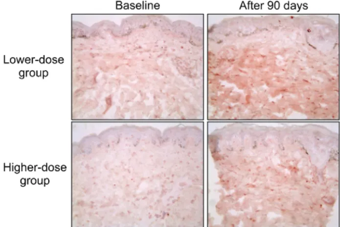 Fig. 3. Type I procollagen (Takara) immunostaining in the buttock skin before and after aloe vera intake (original magnification
