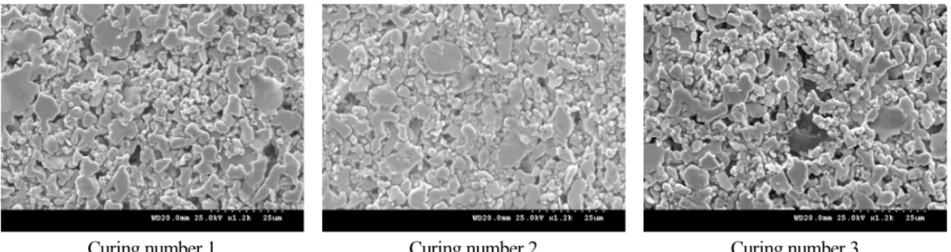 Fig. 7  Surface structure changes by varying number of curing in ECA B1