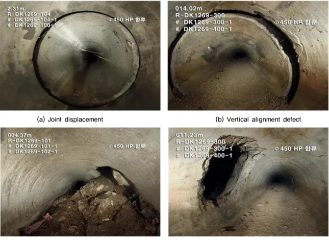 Fig. 7. Type of sewer pipe defect