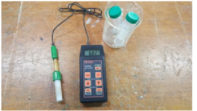 Fig. 5. pH test