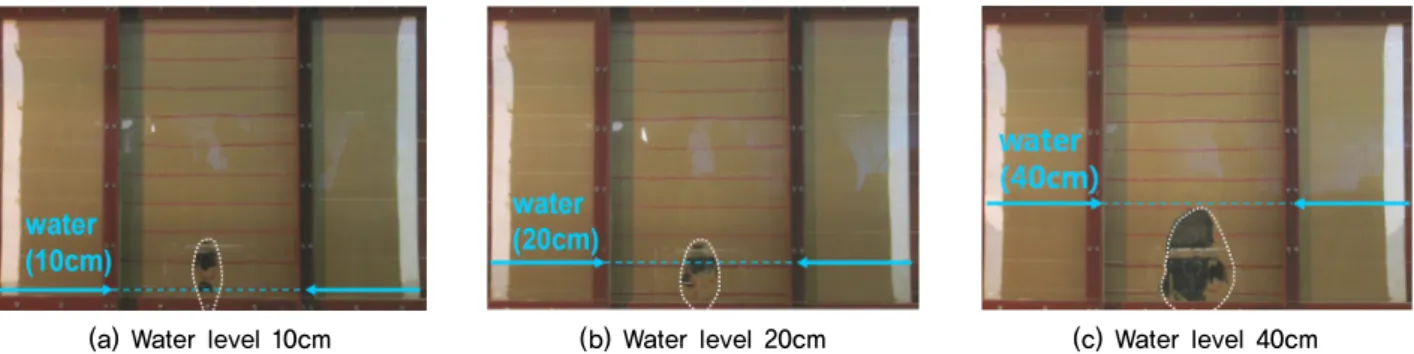 Fig. 5. Static water level’s model test (Kuwano et al., 2010)
