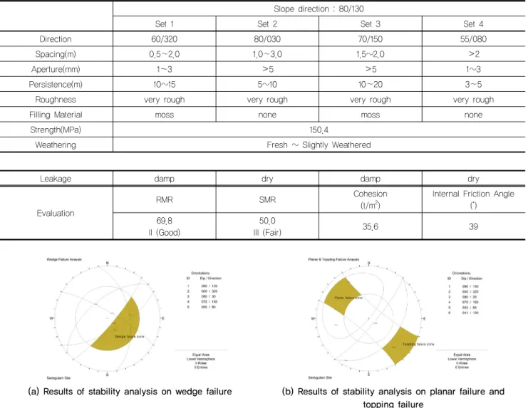 Fig. 8. DIPS analysis for the evaluation of discontinuities direction