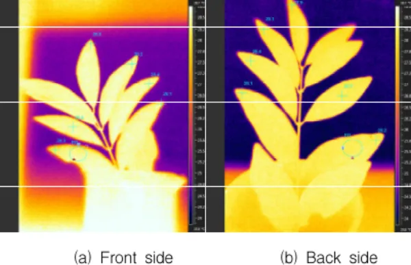 Fig. 4 Averaged surface temperature according to the time of a leaf with water and cider