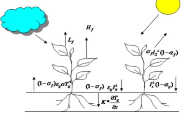 Fig. 1 Green Roof Module energy balance 1),2)