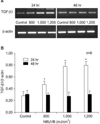 Fig.  5.  TGF-β3  mRNA  levels  at  800,  1,000  and  1,200  mJ/cm 2   compared  with  control  group  for  24  hr  and  48  hr
