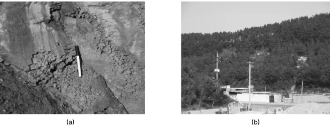 Fig. 2. Examples of landslide events in study area: (a), Weathering progress due to surface exposure in bedrock; (b), Small  scale landslides