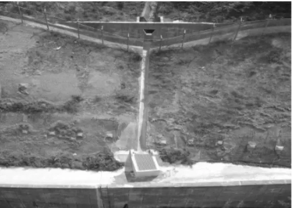 Fig. 15. Slope protection and reinforcement method installed in cut slopes