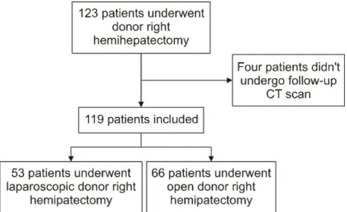 Fig. 1. Flow chart of patient enrollment. CT, computed tomo- tomo-graphy.