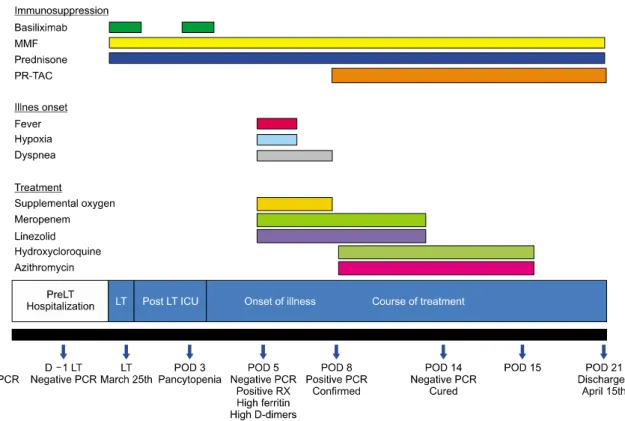 Fig. 2. Case report evolution. PR-TAC, prolonged released tacrolimus; D, day; LT, liver transplantation; POD, postoperative day.