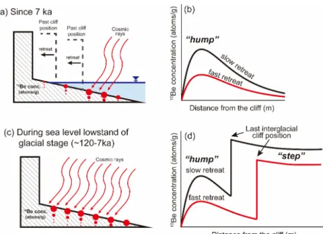 Fig. 1. Sea cliff-shore platform evolution and the distribution of  10 Be concentration along the shore platform (Regard  et al., 2012)
