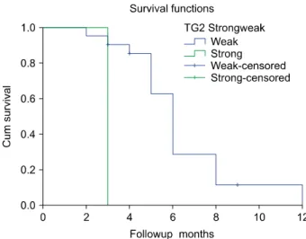 Fig. 4. Weak and strong TG2 positive expression effecting  survival in palliative group (n=46).