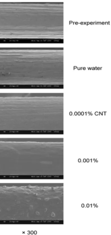 그림  8.  SEM  images  of  deposition  of  CNTs  on  heat                  transfer  wire  for  various  concentrations  of                 CNTs(×300) 4