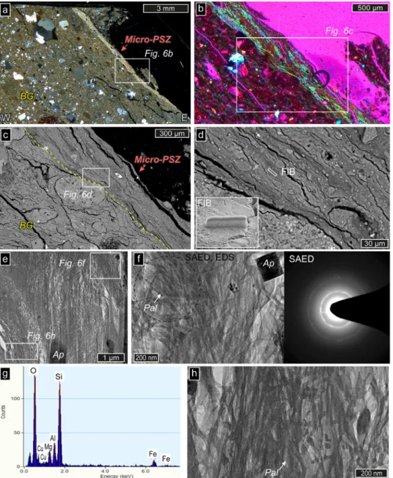 Fig. 6. (a) Scanned thin-section image showing micro-PSZ in BG (crossed polarized light)