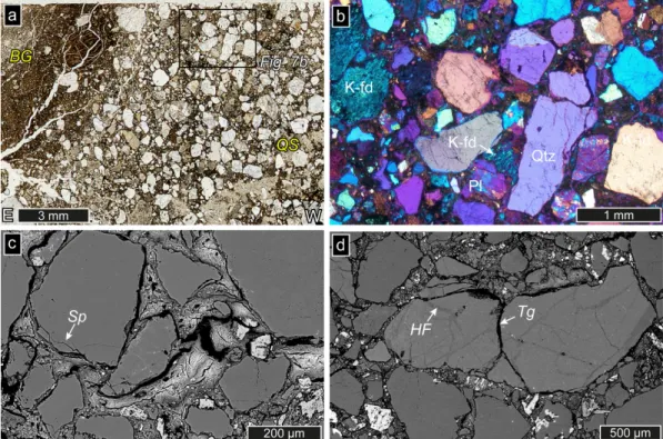 Fig. 7. (a) Scanned thin-section image of Quaternary sand (QS) in the deformed Quaternary sediments (plane polar- polar-ized light)