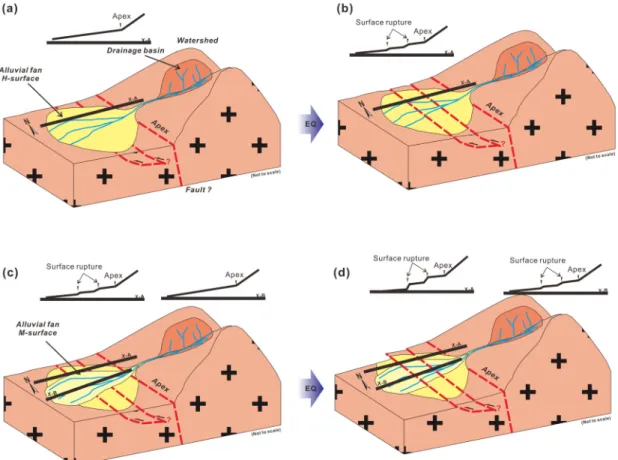 Fig. 11. Conceptual models for cumulative geomorphic displacement caused by N-S thrust faults in the study area