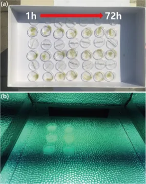 Fig. 2. Experimental setting for the observation of ESR  signal responses to optical exposure