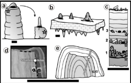 Fig. 2. An example of a paleoseismological study on speleothems of Soreg and Har-Tuv caves, the Dead Sea transform  (from Kagan et al., 2005)