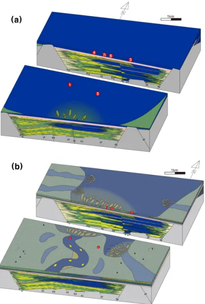 Fig. 8. (a) Schematic depositional model of early stage of unit S-6 (Gu et al., 2018)