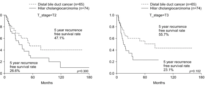 Fig. 6. Comparison of recurrence-free survival rates between hilar cholangiocarcinoma and distal bile duct cancer according  to T stages.