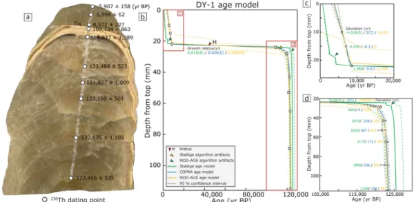 Fig. 4. (a) A rock slab of stalagmite DY-1 showing sub-sampling points for  230 Th dating and H indicates hiatus,  which means interruption to the growth of speleothems