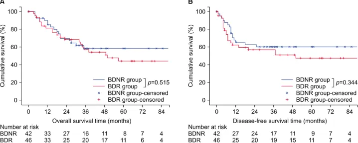 Fig. 5. Survival curves comparing the BDR and BDNR groups for liver resection patients