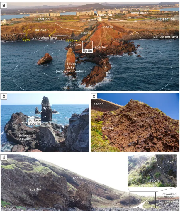 Fig. 8. (a) An aerial photo of Section D. (b) The Seondolbawi Rock comprises a massive clastogenic lava with a  circular pattern with scoria entangled on the surface of the lava