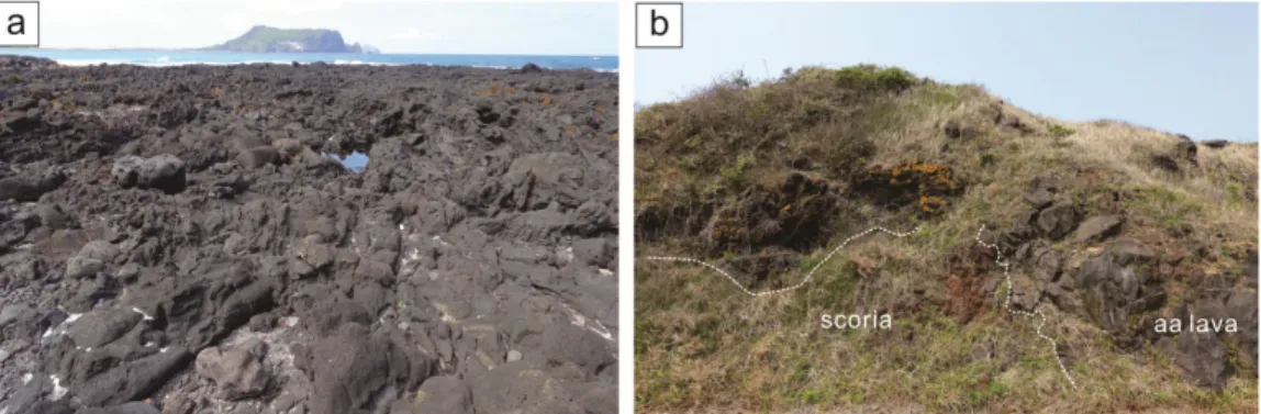 Fig. 11. (a) The surface of the lava in Section F-1 is uneven with partially interbedded clinker