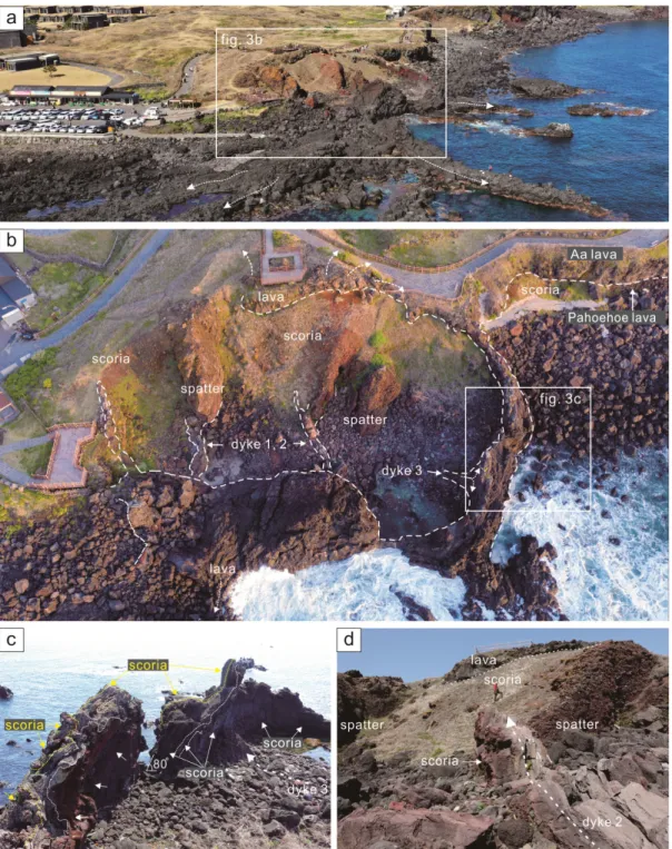 Fig. 3. (a) Aerial photograph of Section A. (b) A close-up of Section A, showing a circular dyke standing like a  rampart of a castle composed of spatter/scoria with three internal dykes